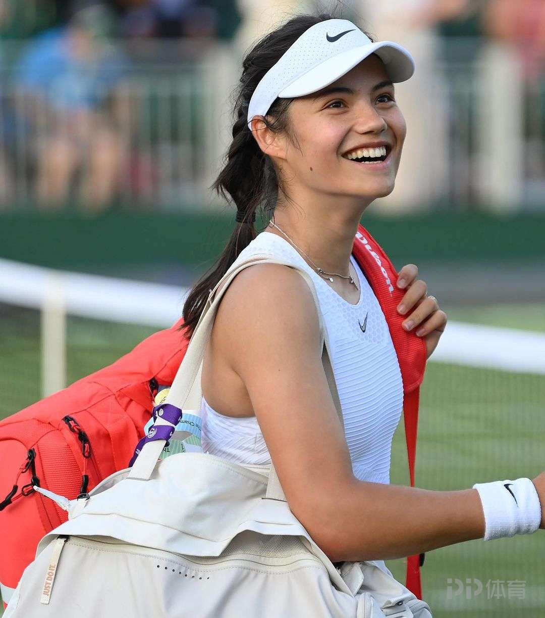 但却往往能 但却往往能